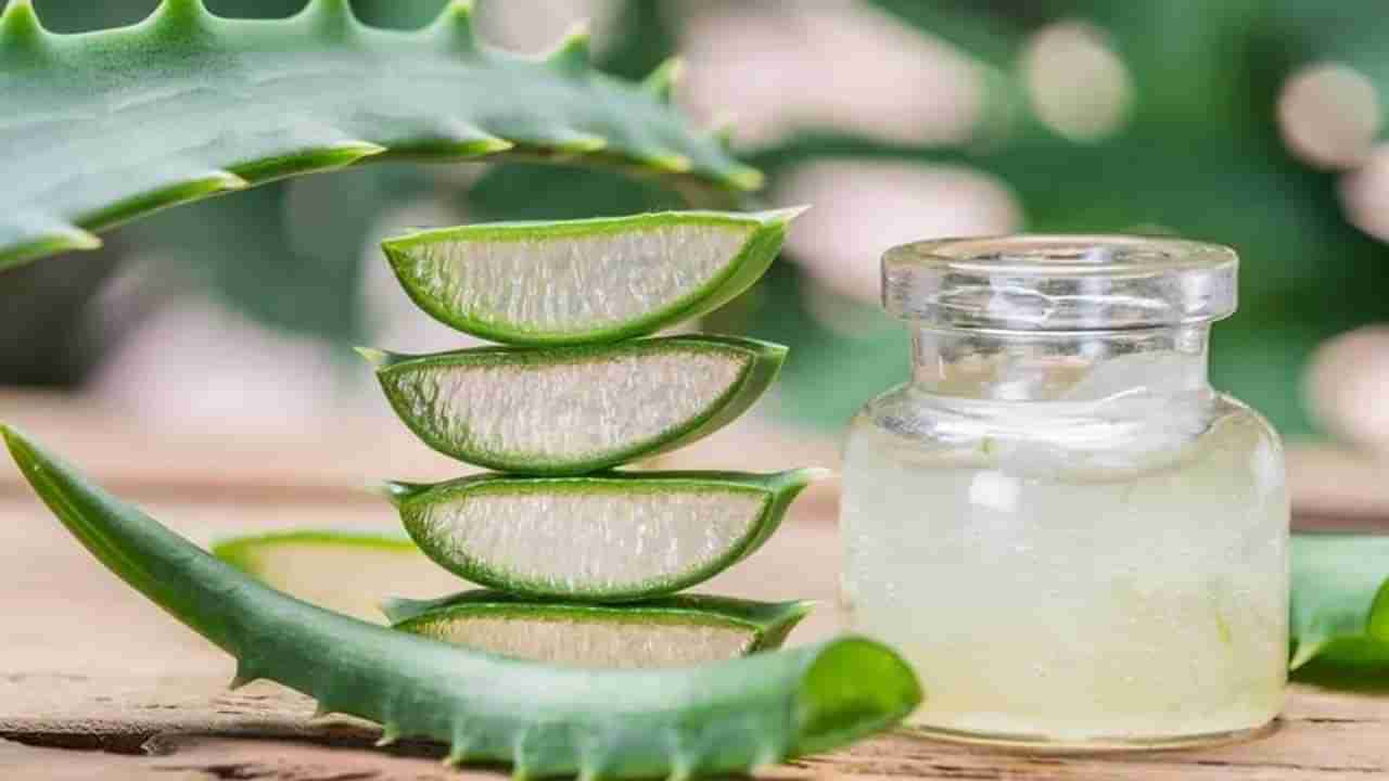 Aloe Vera Juice: కలబంద జ్యూస్ ప్రతిరోజూ తీసుకోవడం వల్ల శరీరంలో ఏమవుతుందో తెలుసా!