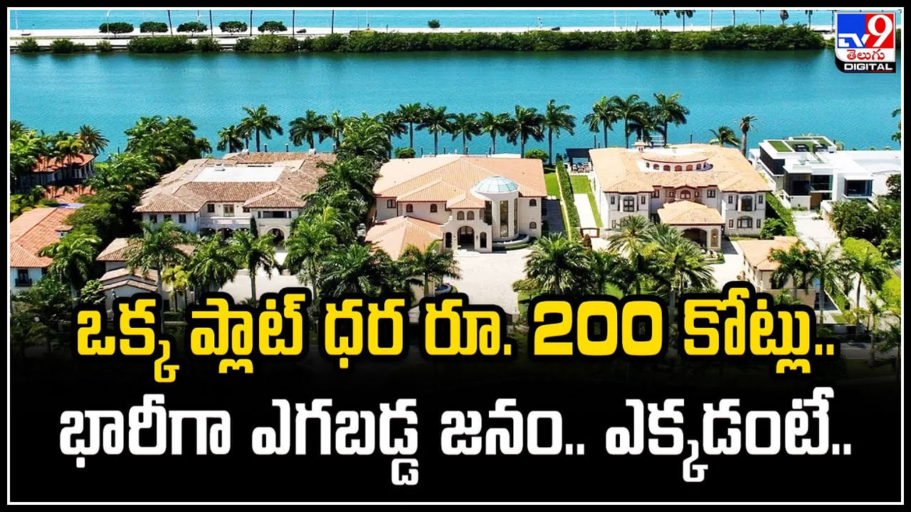 America: ఒక్క ప్లాట్ ధర రూ.200 కోట్లు.! భారీగా ఎగబడ్డ జనం.. ఎక్కడంటే.? America: ఒక్క ప్లాట్ ధర రూ.200 కోట్లు.! భారీగా ఎగబడ్డ జనం.. ఎక్కడంటే.?