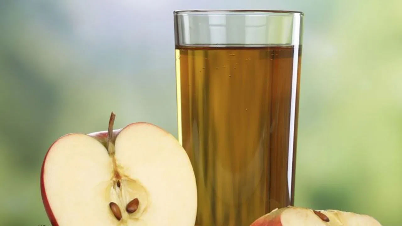 గత కొన్నేళ్లుగా యాపిల్ సైడర్ వెనిగర్ పేరు జనాల నోళ్లలో బాగా వినిపిస్తోంది. ఎందుకంటే.. ఇప్పుడు ఆరోగ్య స్పృహ ఉన్న వ్యక్తుల లిస్ట్లో వెనిగర్ ఒకటిగా చేరిపోయింది. యాపిల్ సైడర్ వెనిగర్ బరువు తగ్గడానికి సహాయపడుతుంది. శరీరంలోని అదనపు కొవ్వును పోగొట్టడానికి దీనికి మించిన ప్రత్యామ్నాయం లేదు. ఉదయం పూట గోరువెచ్చని నీటిలో యాపిల్ సైడర్ వెనిగర్ మిక్స్ చేసి తాగితే బరువు ఇట్టే కరిగిపోతుంది.