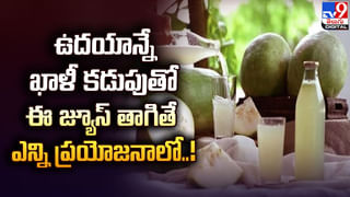 Health Tips: ఆడవాళ్లు అప్రమత్తంగా ఉండండి..! ఈ వ్యాధులు వచ్చే ప్రమాదం అధికంగా ఉంది..! షాకింగ్‌ కారణాలు తెలిస్తే..