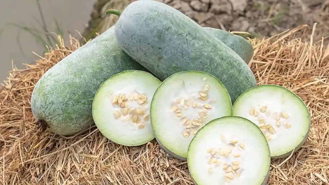 Ash Gourd Juice: బూడిద గుమ్మడిలో బోలెడు ఔషధ గుణాలు.. ఉదయాన్నే ఖాళీ కడుపుతో తాగితే ఈ సమస్యలు పరార్..!