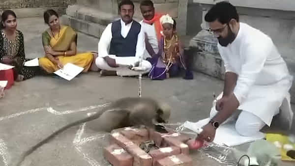 Ram Mandir: అయోధ్యలో బాల రామయ్య కొలువు దీరిన వేళ.. వానరాలు చేసిన పనికి భక్తుల తన్మయత్వం.. వీడియోలు వైరల్