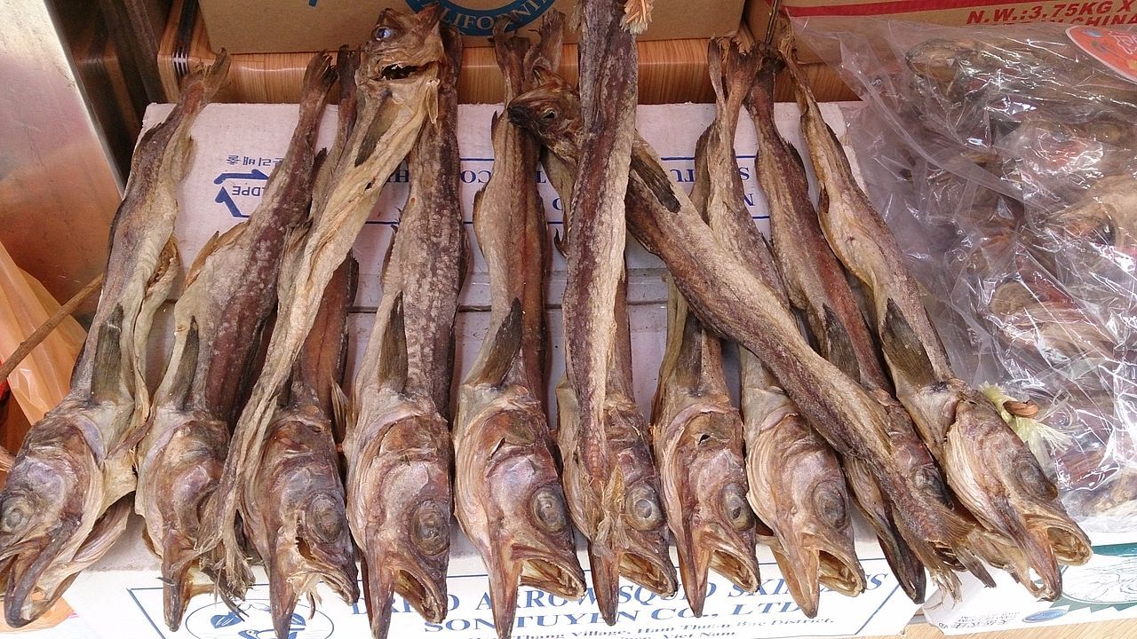 Dry Fish Benefits ఎండు చేపలతో ఈ వ్యాధులకు బైబై చెప్పొచ్చు.. Telugu
