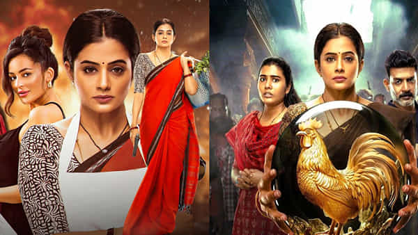 Bhamakalapam 2 OTT: ఆహాలో ప్రియమణి భామా కలాపంకు అదిరిపోయే రెస్పాన్స్.. ఇప్పటివరకు ఎన్ని వ్యూస్ రాబట్టిందో తెలుసా?