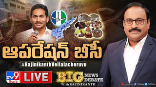 CEO: ఎన్నికల నిర్వహణపై కేంద్ర ఎన్నికల సంఘం పలు సూచనలు.. కలెక్టర్లతో వీడియో కాన్ఫిరెన్స్..