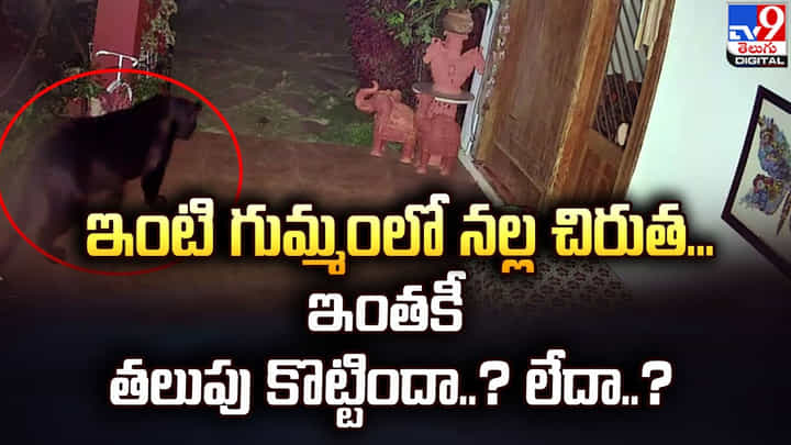 ఇంటి గుమ్మంలో నల్ల చిరుత... ఇంతకీ తలుపు కొట్టిందా ?? లేదా ?? ఇంటి గుమ్మంలో నల్ల చిరుత... ఇంతకీ తలుపు కొట్టిందా ?? లేదా ??