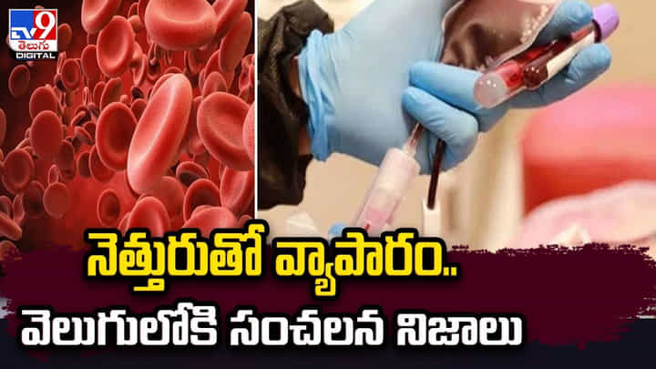 నెత్తురుతో వ్యాపారం.. వెలుగులోకి సంచలన నిజాలు నెత్తురుతో వ్యాపారం.. వెలుగులోకి సంచలన నిజాలు