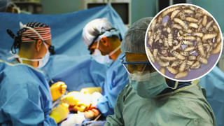 Viral Video: విమానం గాలిలో ఉండగా ప్రయాణీకుడు చేసిన పిచ్చి పని.. చేతులు కాళ్లు కట్టేసి మరీ అదుపు చేసిన ప్రయాణీకులు