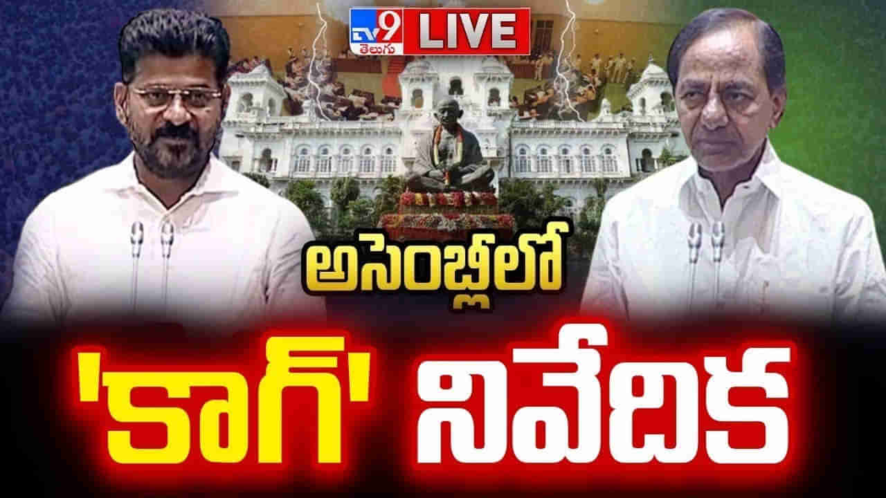 Telangana Assembly: అసెంబ్లీలో కాగ్ నివేదిక.. బీసీల చిరకాల డిమాండ్ నెరవేరబోతుందా..