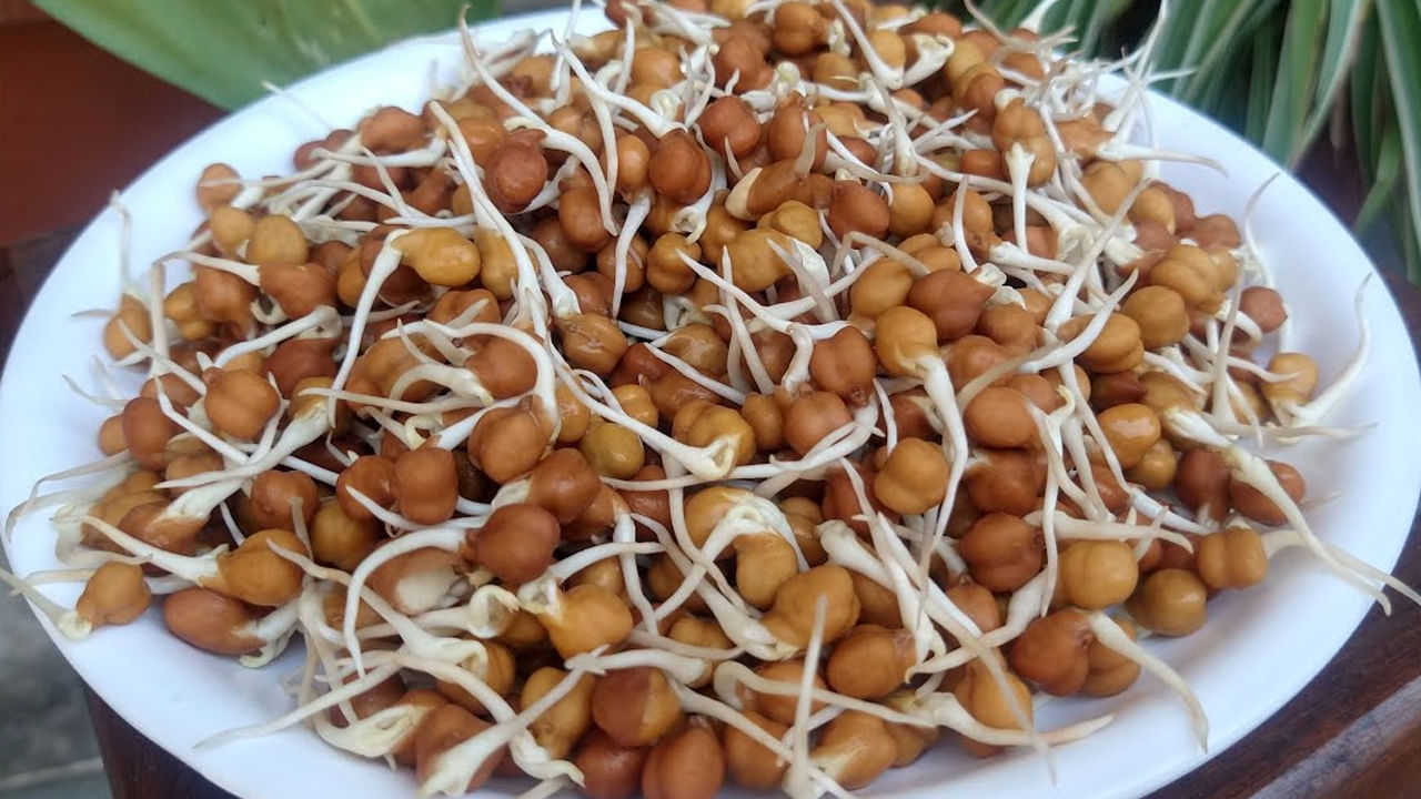 పచ్చి శనగల్లో కొలెస్ట్రాల్ చాలా తక్కువగా ఉంటుంది. ఇవి గుండెకు మేలు చేస్తాయి. పచ్చి శనగలలోని యాంటీఆక్సిడెంట్లు, ఫైబర్ కొలెస్ట్రాల్ స్థాయిలను తగ్గిస్తుంది. గుండె జబ్బుల ప్రమాదాన్ని తగ్గిస్తుంది.