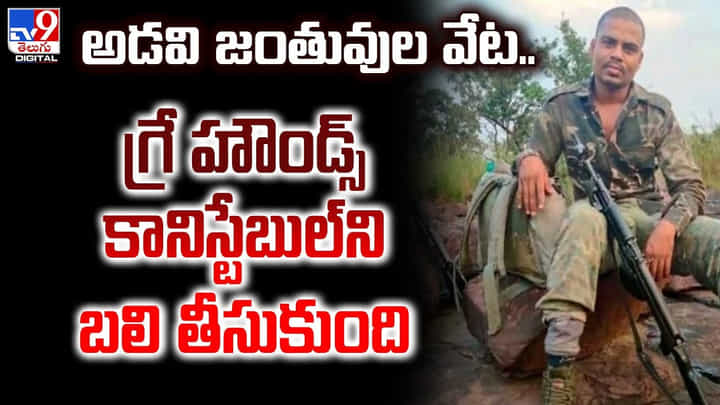 అడవి జంతువుల వేట.. గ్రే హౌండ్స్ కానిస్టేబుల్ని బలి తీసుకుంది అడవి జంతువుల వేట.. గ్రే హౌండ్స్ కానిస్టేబుల్ని బలి తీసుకుంది