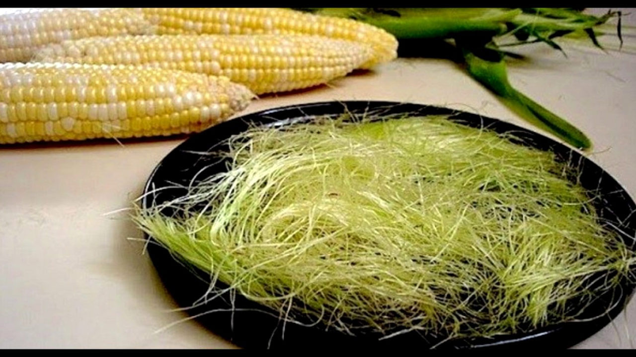 Corn silk benefits: పీచే కదా అని అలుసుగా తీసుకోవద్దు..! మొక్కజొన్న మాత్రమే కాదు.. ఇది కూడా ఈ 6 వ్యాధులకు దివ్యౌషధం..!