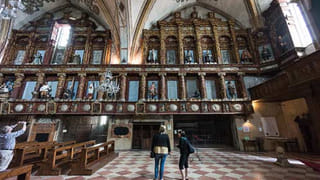 సర్కార్‌ వారి సరికొత్త పథకం.. ! ఇక్కడ చెట్లకు పెన్షన్‌.. ఎందుకు, ఎంత ఇస్తున్నారో తెలుసా..?