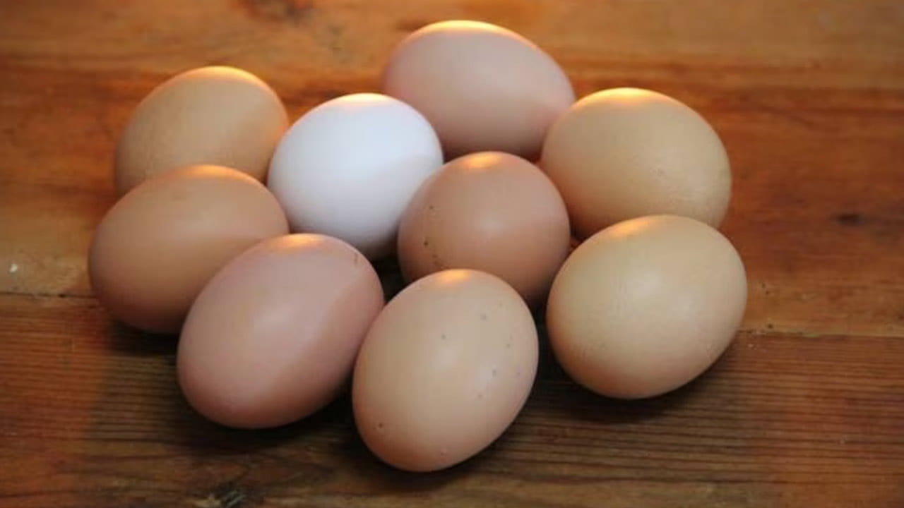 రూ. 49కే 4 డజన్ల గుడ్లు.. ఆఫర్కు టెంప్ట్ అయితే రూ. 50 వేలు పోయాయి
