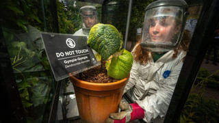 Watch Video: బాబోయ్‌.. ఇది పక్షి కాదు దెయ్యం..! దాని స్వరం వింటే ఊపిరి ఆగిపోవాల్సిందే..