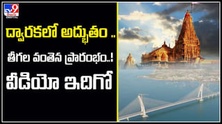 E-Bike Battery: ఈ బైక్‌ బ్యాటరీ పేలి ఎగిసిపడ్డ మంటలు.! న్యూయార్క్‌లో భారతీయుడు మృతి.