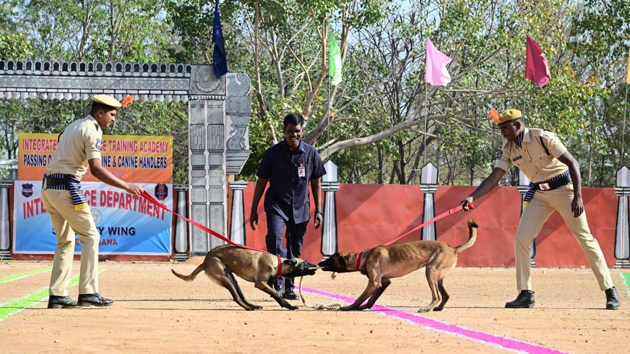 గత కొన్ని సంవత్సరాలుగా ఐఐటిఏ సిబ్బంది ఎంతో ప్రగతి సాధించిందని కొనియాడారు. ఐఐటిఏ కృషిని ఇతర రాష్ట్రాల పోలీస్ అధికారులు ప్రశంసించడంలో అతిశయోక్తి లేదని, వారి శ్రమకు ఇది నిదర్శనమని అభివర్ణించారు. భవిష్యత్తులో ఐఐటిఏ సిబ్బంది మరిన్ని విజయాలు సాధించాలని అడిషనల్ డిజిపి ఆకాంక్షించారు. 