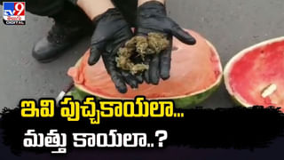 Watch Video: బాబోయ్‌.. మరీ ఇలా ఉన్నారేంట్రా బాబు..! ఇంటి ముందు పార్క్‌ చేసిన బైక్‌.. క్షణాల్లో కొట్టేసిన కేటుగాళ్లు..