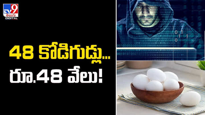 48 కోడిగుడ్ల కోసం ఆశపడి 48 వేలు పోగొట్టుకున్న మహిళ 48 కోడిగుడ్ల కోసం ఆశపడి 48 వేలు పోగొట్టుకున్న మహిళ