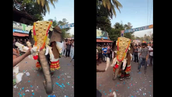 వావ్.. వన్స్ మోర్ గజేంద్ర..! డప్పు, డోలు దరువులకు చిందులేస్తున్న గజరాజు.. వీడియో చూస్తే ఫిదా అవుతారు..
