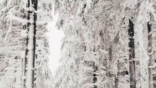 Watch Video: వారం రోజుల్లో రూ.155 కోట్లు సంపాదించిన అమ్మాయి.. ఇంట్లో కూర్చొని 3 సెకన్లలో ఈ పని చేస్తుంది..