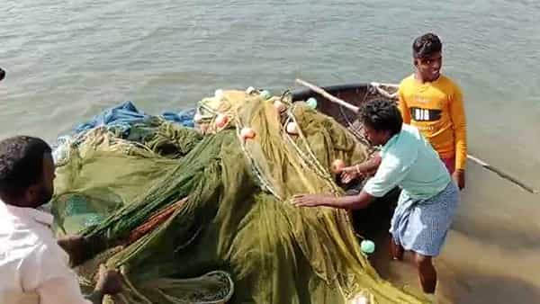 Godavari: గోదావరి తీరంలో చేపల వేటకు వలలు కాదు.. తుపాకులు, కర్రలు కావాలట..!