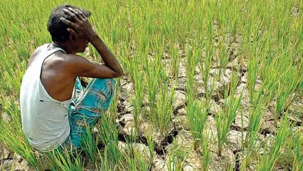 Telangana: నెర్రలు వారుతున్న పొలాలు.. ఆందోళనలో రైతన్నలు