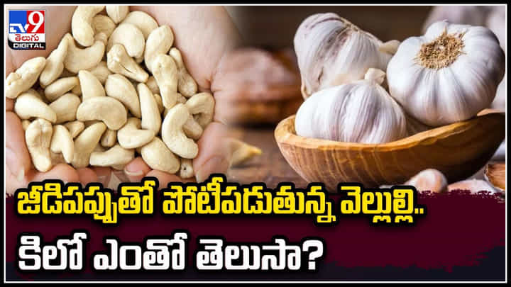 Garlic cost: జీడిపప్పుతో పోటీపడుతున్న వెల్లుల్లి.. కిలో ఎంతో తెలుసా? Garlic cost: జీడిపప్పుతో పోటీపడుతున్న వెల్లుల్లి.. కిలో ఎంతో తెలుసా?