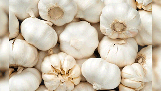 Heat Waves: తెలుగు రాష్ట్రాల ప్రజలకు హెచ్చరిక.. నెల ముందే వచ్చేసిన వేసవి కాలం.. వడ గాలుల తీవ్రత ఎక్కువేనని హెచ్చరిక..