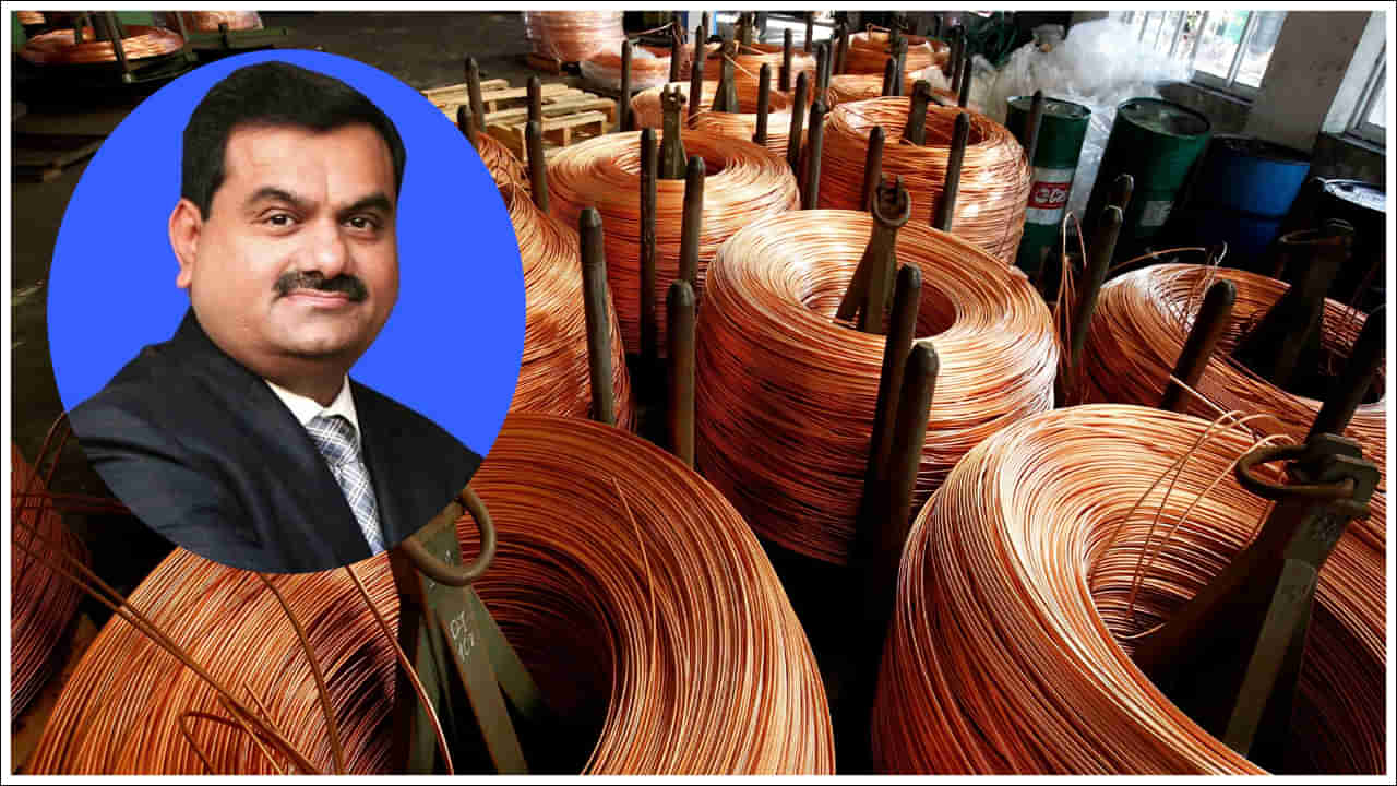 Gautam Adani: ప్రపంచంలోనే అతిపెద్ద రాగి కర్మాగారం.. మన దేశంలో ఎక్కడో తెలుసా?