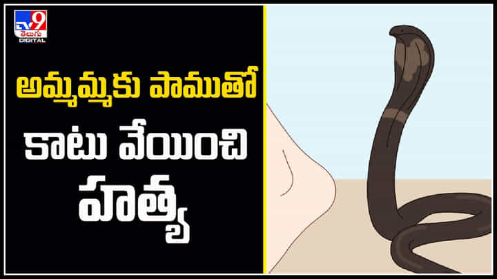 Snake Bite: వీడేం మనిషిరా బాబు.! అమ్మమ్మకు పాముతో కాటు వేయించిన మనవడు.! Snake Bite: వీడేం మనిషిరా బాబు.! అమ్మమ్మకు పాముతో కాటు వేయించిన మనవడు.!
