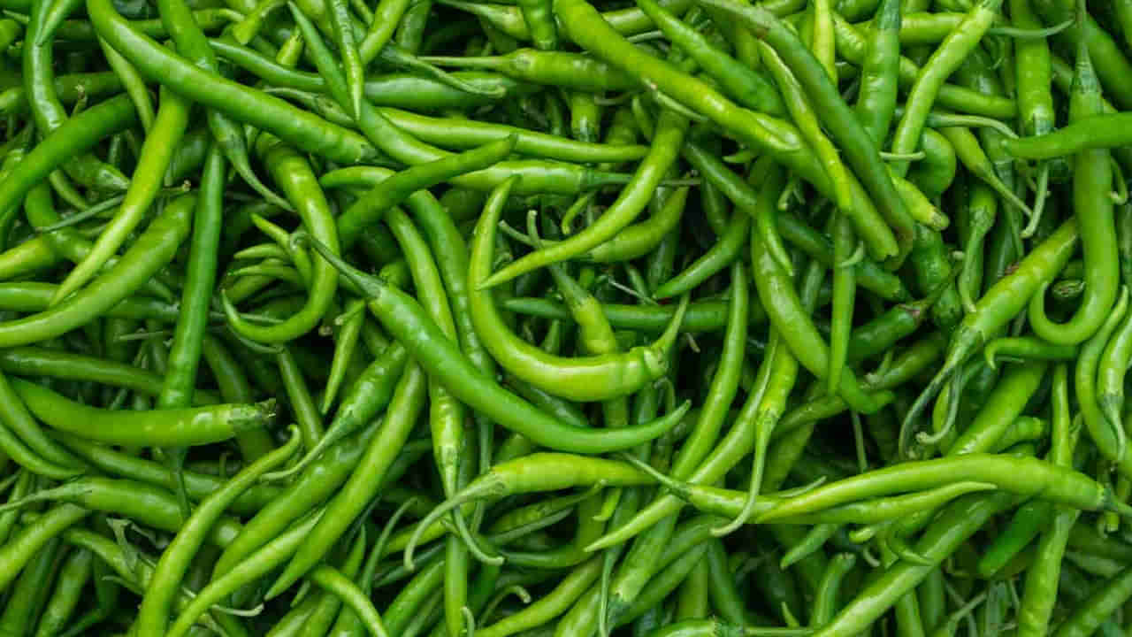 Green Chillies : అయ్యో మంట అని తినకుండా ఉండేరు.. రీసెర్చ్ చేసి సూపర్ న్యూస్ చెప్పారు