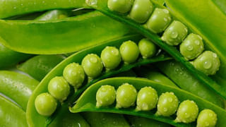 Soaked Chana Benefits: రోజూ నానబెట్టిన శనగలు తింటే ఇన్ని లాభాలా..! గుండెకు కొండంత బలం..