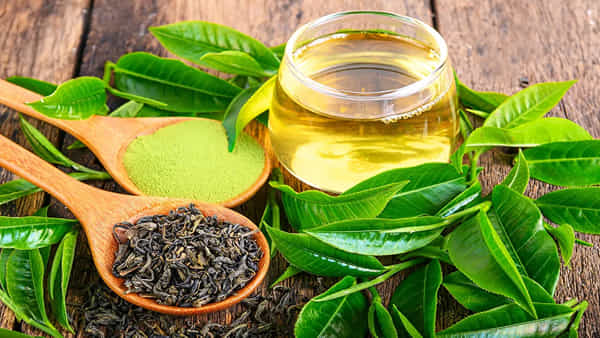 Green Tea Side Effects: గ్రీన్ టీని రోజుకు ఎన్నిసార్లు తాగాలి..? అతిగా తాగితే ఈ అనారోగ్య సమస్యలు ఎదుర్కొక తప్పదు..!