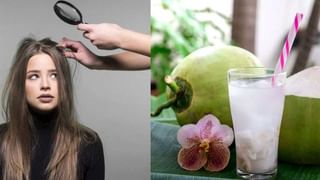 Ayurvedic Benefits of Ghee: నెయ్యితో వెయ్యి లాభాలు.. రోగాల భరతం పట్టే ఔషధాల గని! రోజూ కాస్తింత తింటే చాలు