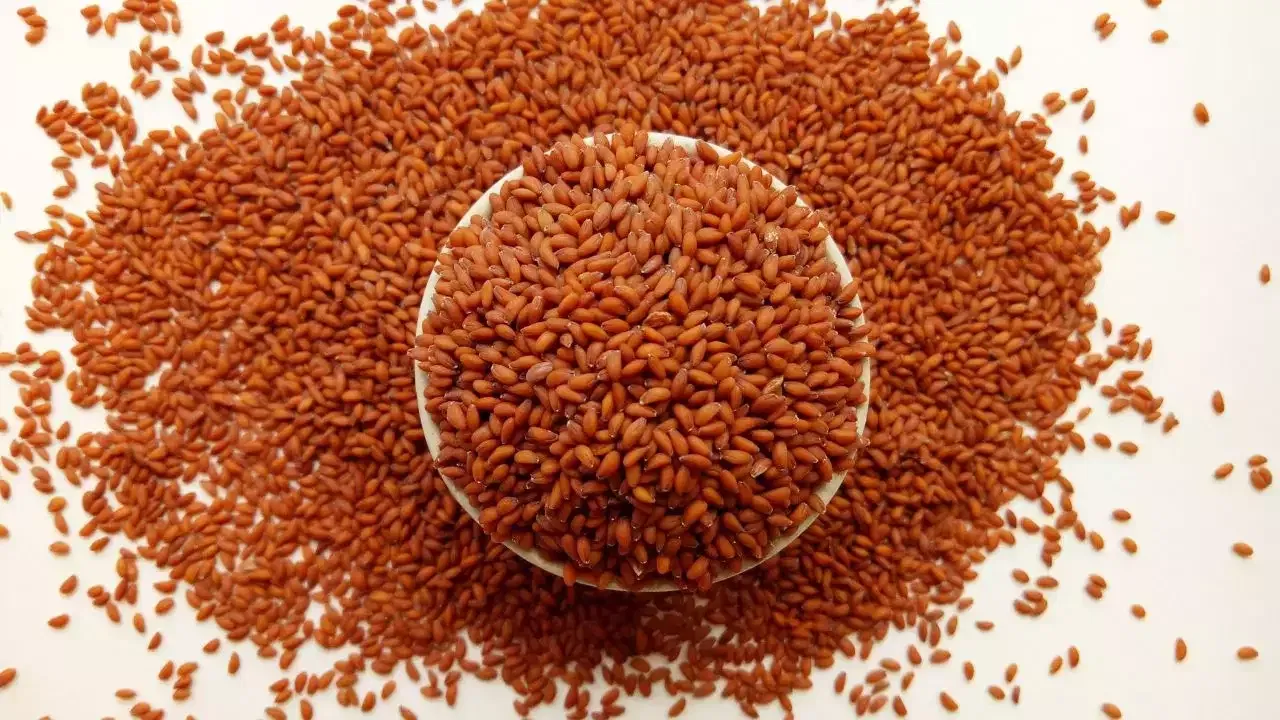 ముఖ్యంగా ఇందులో విటమిన్లు ఎ, ఇలు ఉంటాయి. ఈ హలీం గింజల్ని తింటే చర్మం కాంతి వంతంగా మెరిసి పోయేలా చేస్తాయి. ఇవి శరీరంలోని ఆక్సీకరణ ఒత్తిడని తగ్గిస్తాయి. కాబట్టి జుట్టు, చర్మం అందంగా ఉంటాయి.