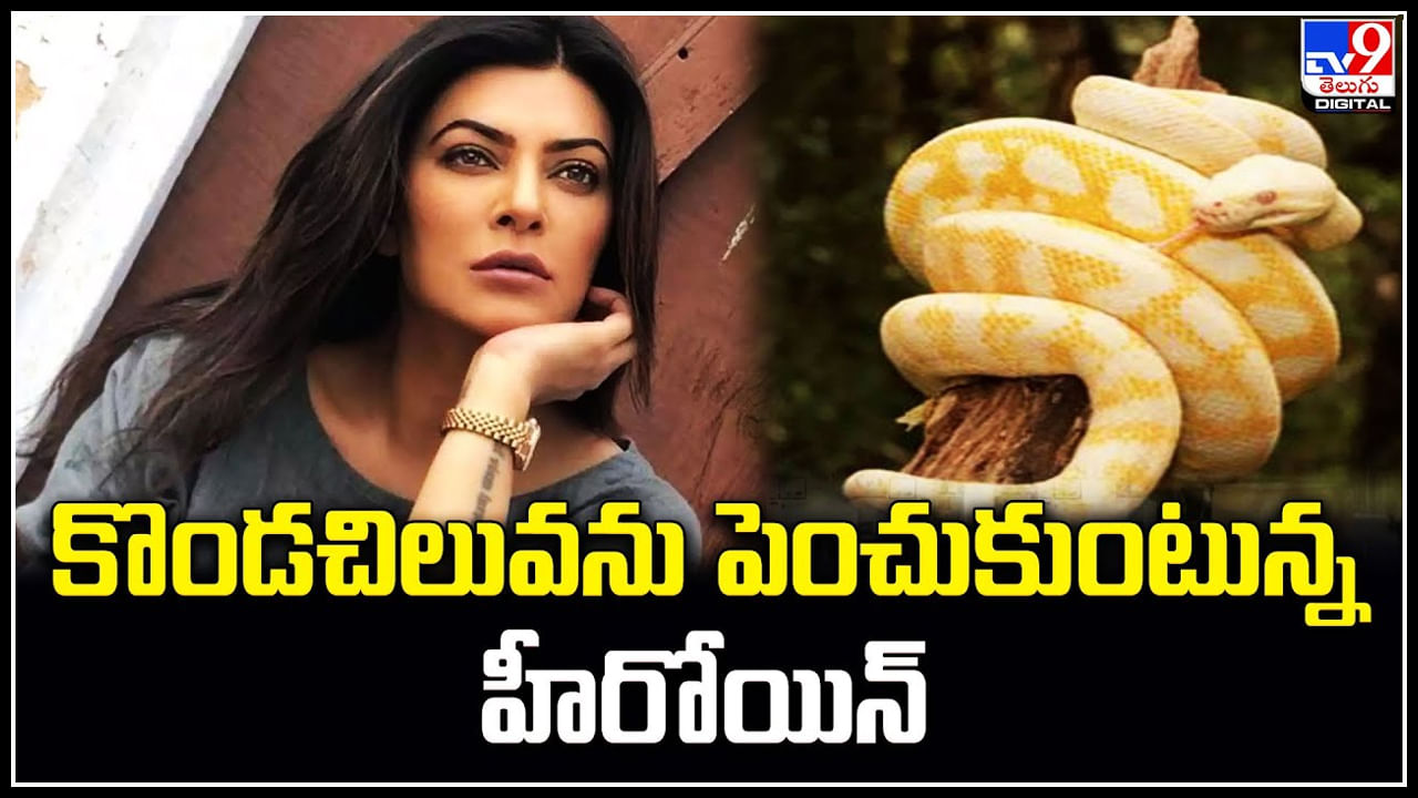 Sushmita Sen: కొండచిలువను పెంచుకుంటున్న హీరోయిన్‌ సుస్మితా సేన్‌.. వీడియో వైరల్.