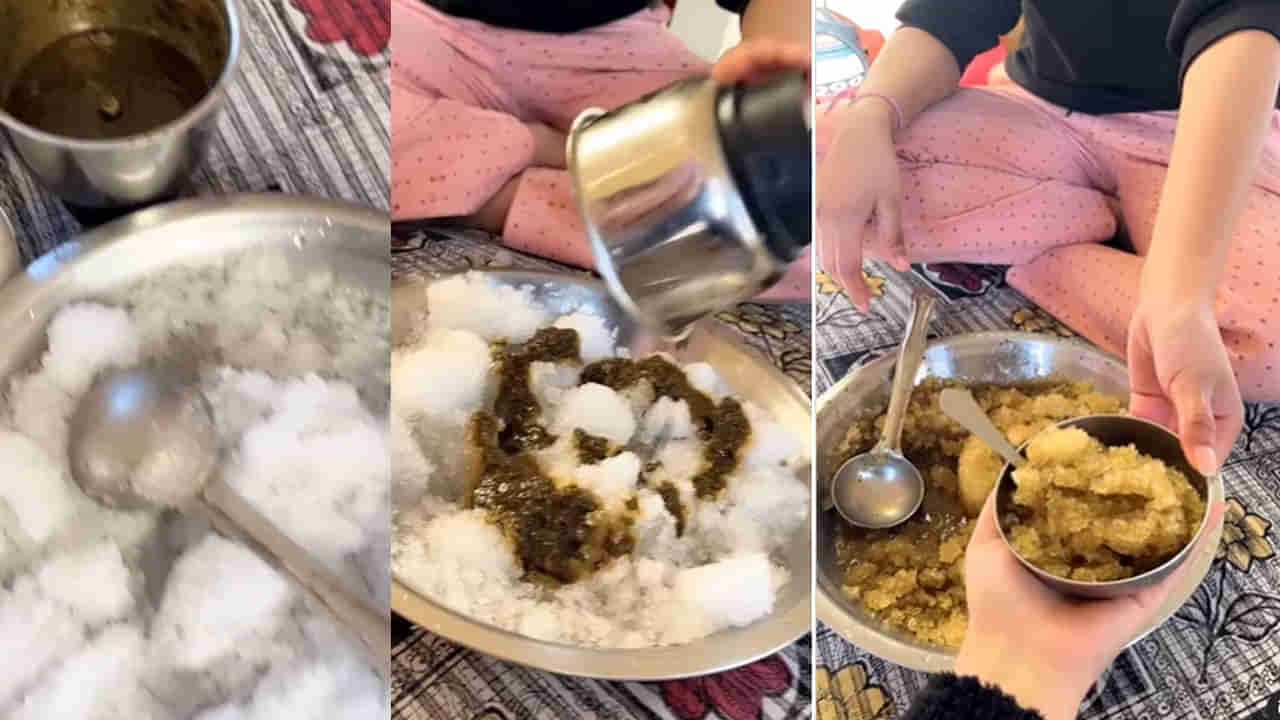 Ice Chutney: కొత్త ఫుడ్ ట్రెండ్.. ఐస్ చట్నీ చేస్తోన్న యువతి.. రెసిపీ వీడియో వైరల్