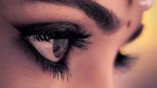 Cholesterol: గుట్టగుట్టలుగా పేరుకుపోయిన కొవ్వుకు బ్రహ్మాస్త్రాలు ఈ ఆకులు.. రోజూ నాలుగు తిన్నారంటే పిండేసినట్లే..