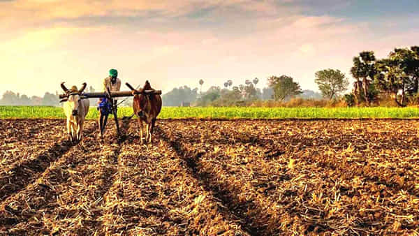 Telangana: అతిపెద్ద కిసాన్ అగ్రి షో.. ఎక్కడో కాదు.. మన హైదరాబాద్లోనే.! ప్రత్యేకతలు ఇవే..