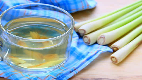 Lemongrass Water Benefits: లెమన్ టీ కాదు.. లెమన్ గ్రాస్ వాటర్.. ఉదయాన్నే తాగితే ఏం జరుగుతుందో తెలుసా..?