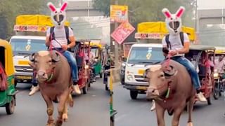 Watch Video: అమ్మో.. తలపై గంగను మోస్తూ.. అందులో చేపల్ని కూడా పెంచుతుంది..! వీడియో చూస్తే అవాక్కే..