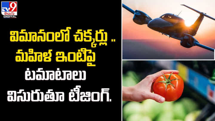 విమానంలో చక్కర్లు .. మహిళ ఇంటిపై టమాటాలు విసురుతూ టీజింగ్ విమానంలో చక్కర్లు .. మహిళ ఇంటిపై టమాటాలు విసురుతూ టీజింగ్