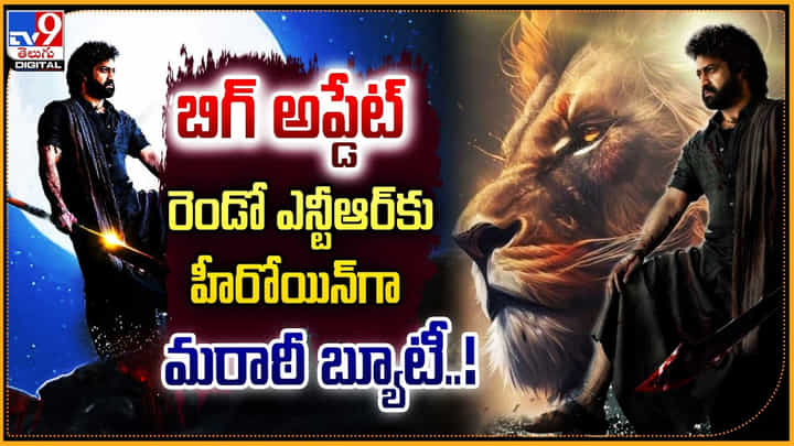 Shruti Marathe: బిగ్ అప్డేట్.! రెండో ఎన్టీఆర్కు హీరోయిన్గా మరాఠా బ్యూటీ శృతి.. Shruti Marathe: బిగ్ అప్డేట్.! రెండో ఎన్టీఆర్కు హీరోయిన్గా మరాఠా బ్యూటీ శృతి..