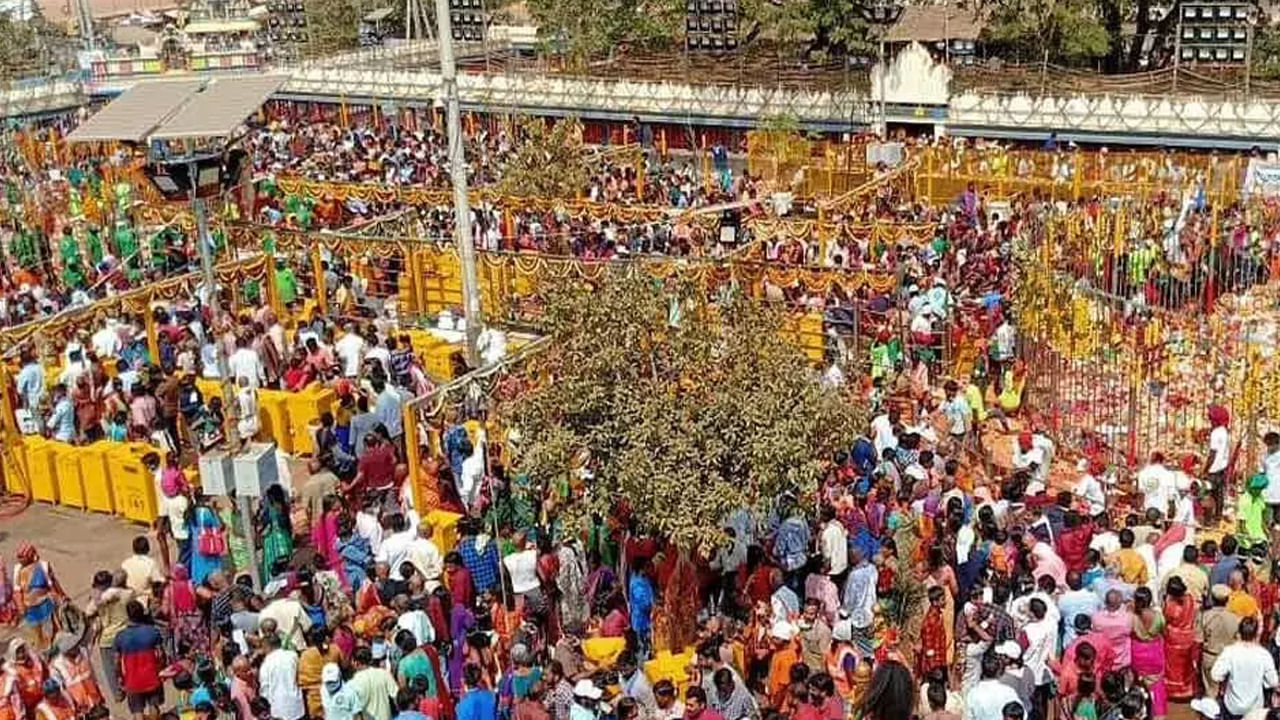 Medaram Jatara: నేడు వనం నుంచి జనం మధ్యకు సమ్మక్క ఆగమనం.. అధికారిక లాంఛనాలతో స్వాగతం చెప్పడానికి ఏర్పాట్లు..