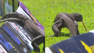 IND vs ENG: వైజాగ్‌ మ్యాచ్‌లో ‘ఆరే’సిన బుమ్రా.. కుప్పకూలిన ఇంగ్లండ్‌.. టీమిండియా ఆధిక్యం ఎంతంటే?