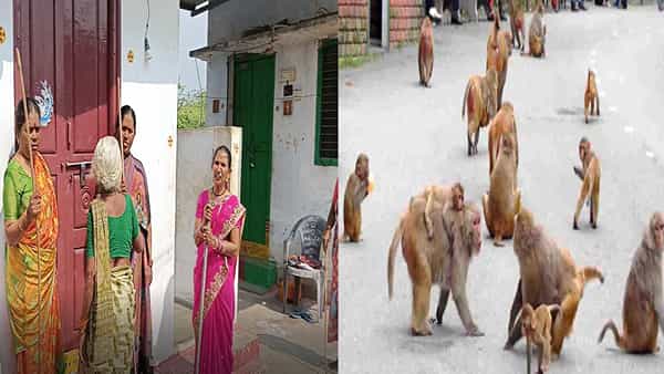 NTR District: ఆ గ్రామంలో కోతుల బెడద.. ఇళ్ల ముందు కర్రలతో మహిళల గస్తీ.. ఓట్లు కావాలంటే ప్రాబ్లెమ్ తీర్చాలంటూ డిమాండ్