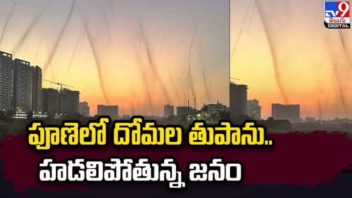పూణె ప్రజలను హడలెత్తిస్తున్న దోమల సుడిగాలి పూణె ప్రజలను హడలెత్తిస్తున్న దోమల సుడిగాలి