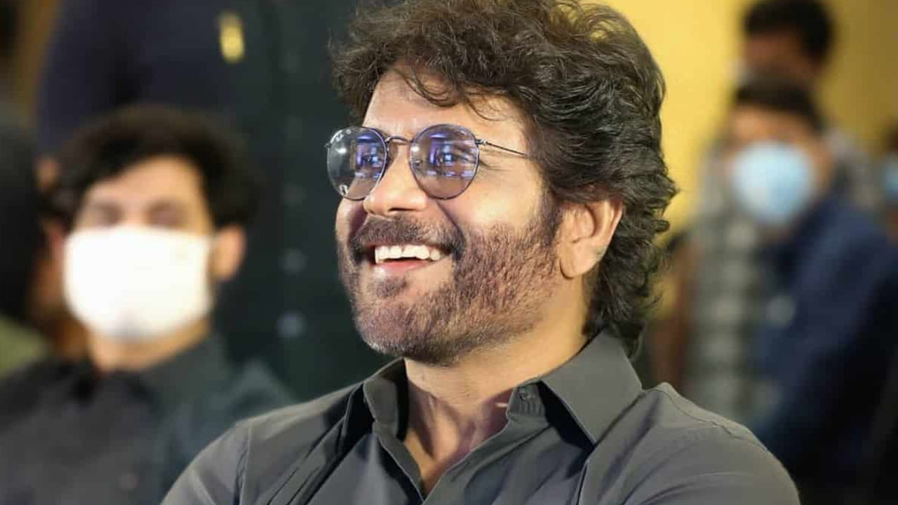 నాగార్జున సైతం అనిల్ అనే కొత్త దర్శకుడికి ఛాన్సిస్తున్నారు. సంక్రాంతి 2025కి చిరంజీవి, నాగ్, వెంకీ రానున్నారు.. బాలయ్య కూడా వస్తే పోటీ మరింత ఆసక్తికరంగా మారుతుంది.