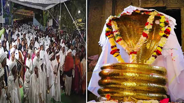 Nagoba Jatara: గంగాజలాభిషేకంతో నాగోబా జాతర ప్రారంభం.. నేడు కొత్త కోడళ్ల పరిచయ కార్యక్రమం.. వేడుకలో ప్రతీ ఘట్టం ఎంతో అద్వితీయం